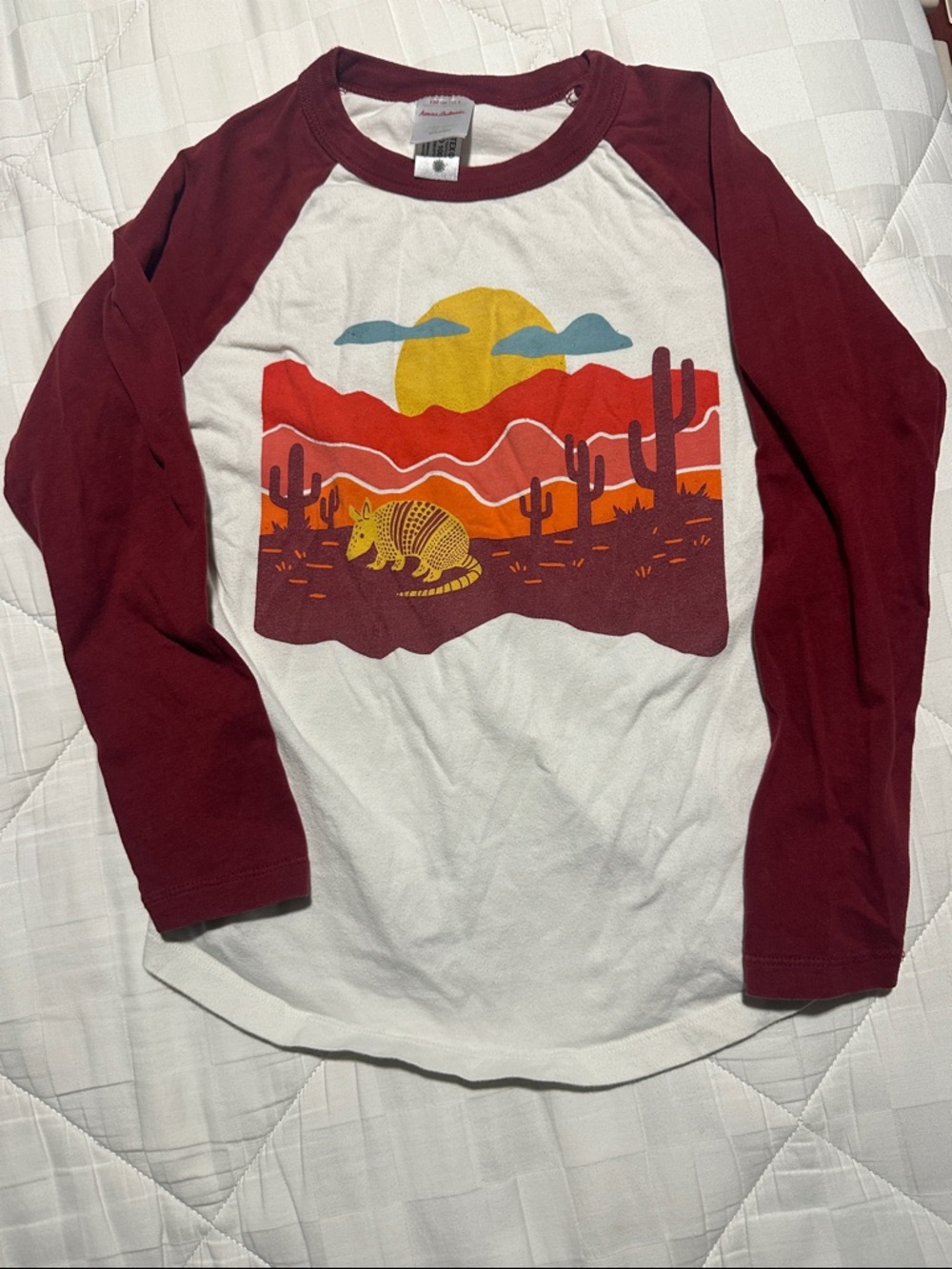 Hanna Andersson Desert Armadillo Graphic Raglan Tee